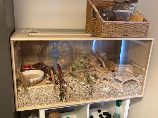 A small animal enclosure containing bedding, branches, and food dishes.