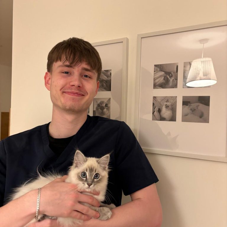 Young man in a navy sweater holding a fluffy white cat in his arms.