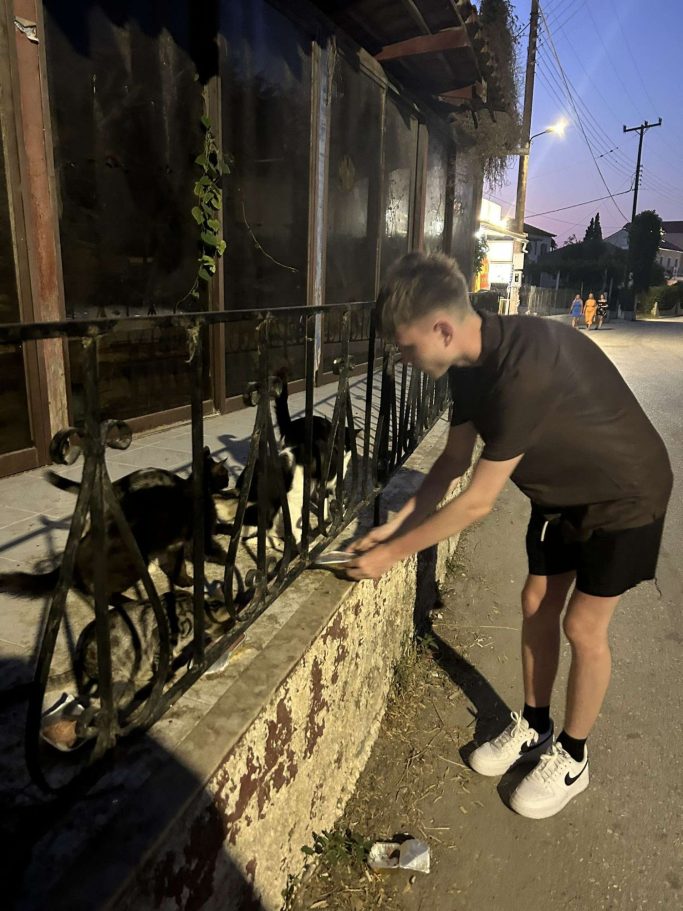 A person crouches by a fence at night, interacting with a cat.