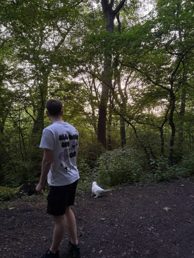 A person in a white t-shirt stands in a forest, with a white bird nearby.