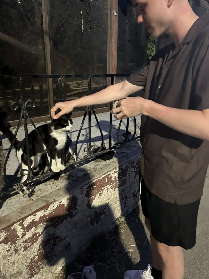 A person in casual clothing pets a black and white cat near a fence.